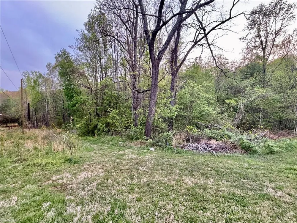 1072 Grassy Knob Road Pilot Mountain, NC 27041