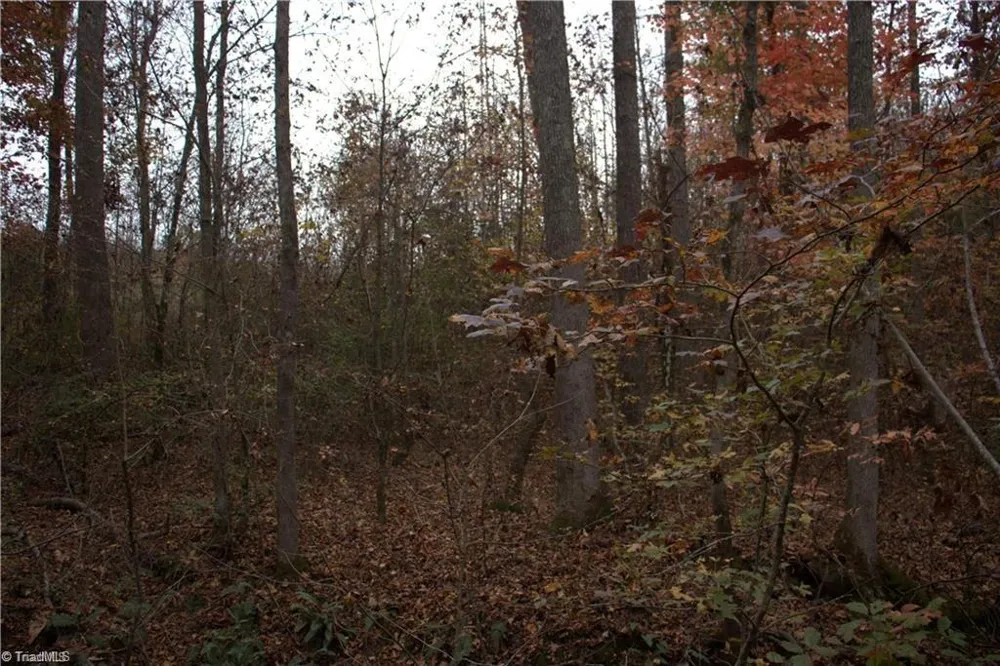 00 Griffin Road Stokesdale, NC 27357
