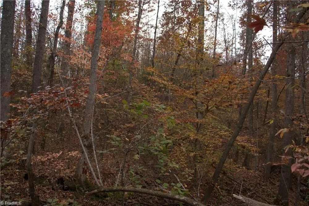 00 Griffin Road Stokesdale, NC 27357