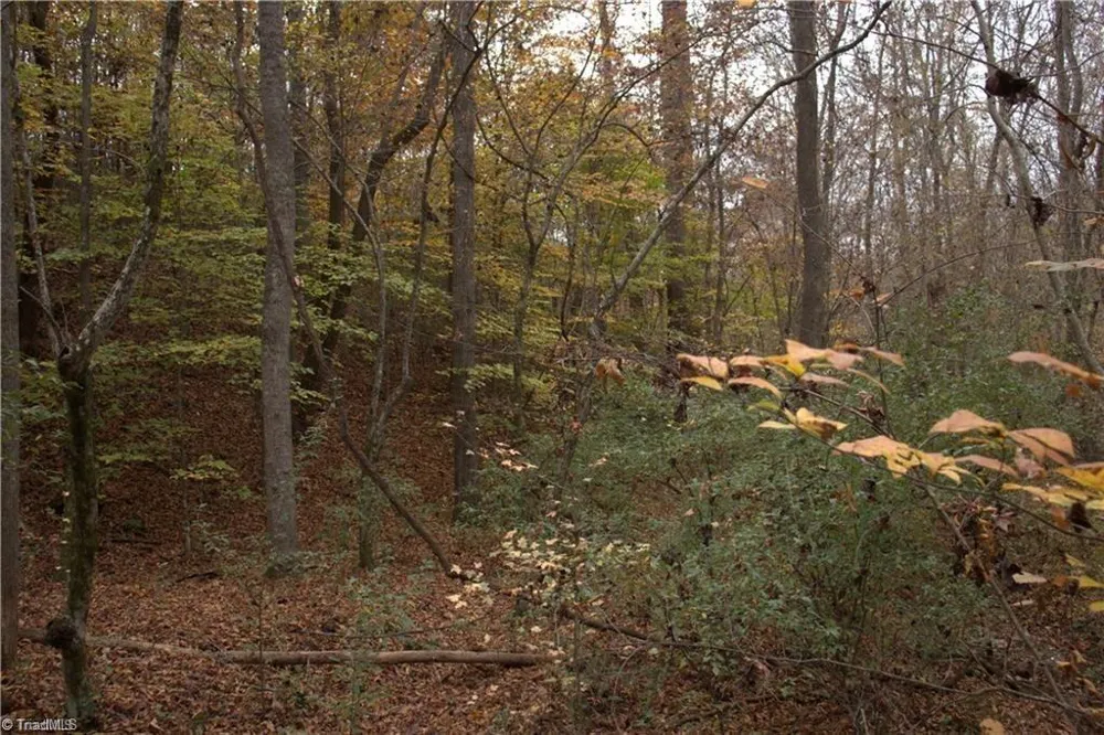 00 Griffin Road Stokesdale, NC 27357