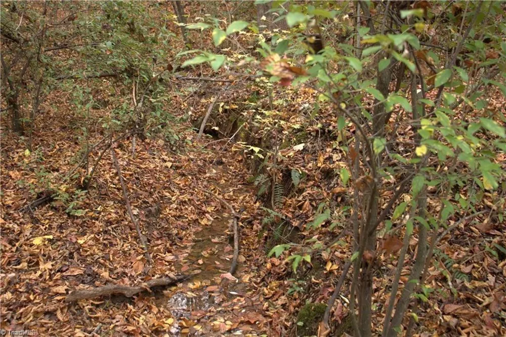 00 Griffin Road Stokesdale, NC 27357