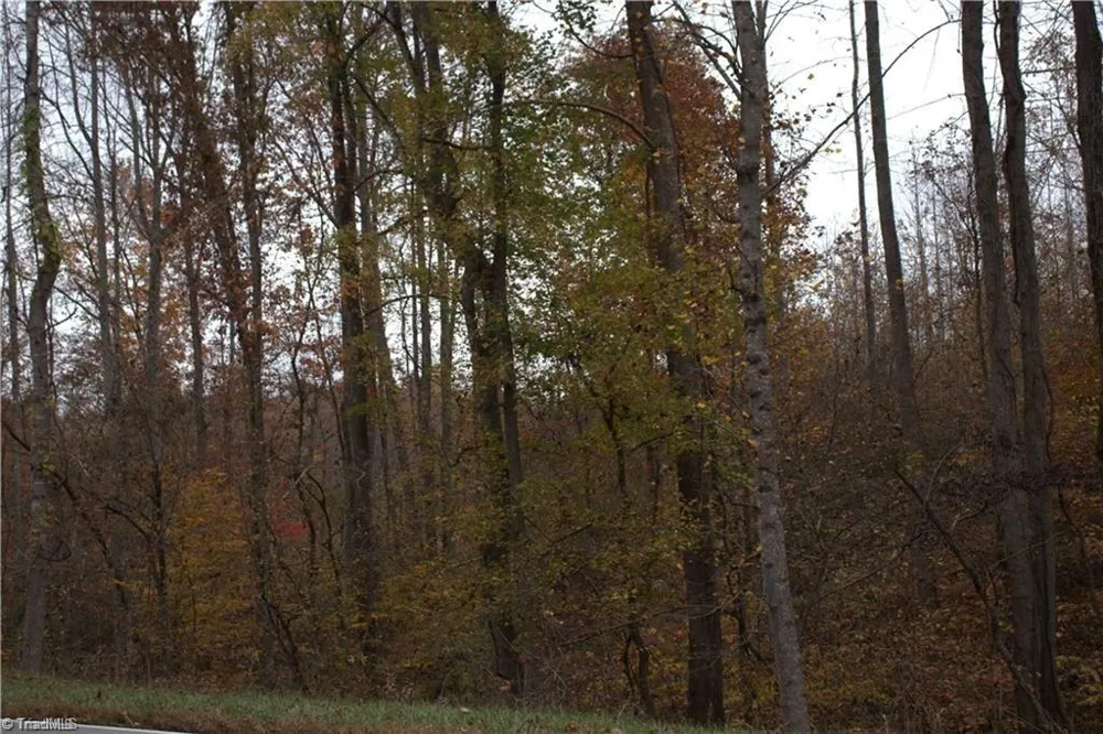 00 Griffin Road Stokesdale, NC 27357