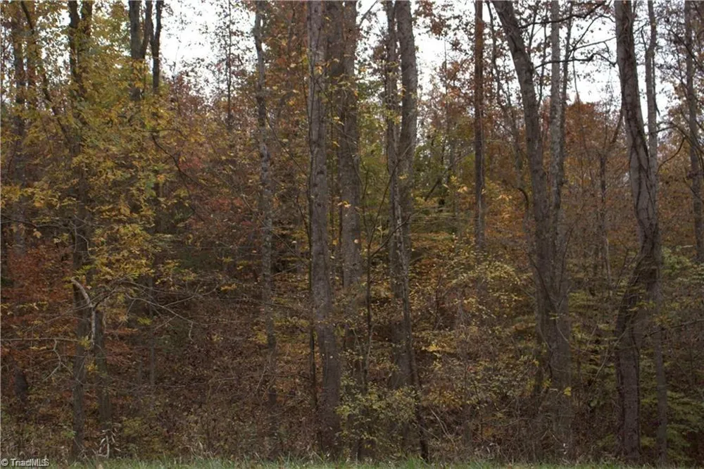 00 Griffin Road Stokesdale, NC 27357