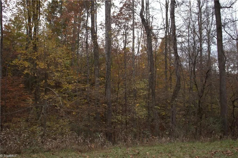 00 Griffin Road Stokesdale, NC 27357