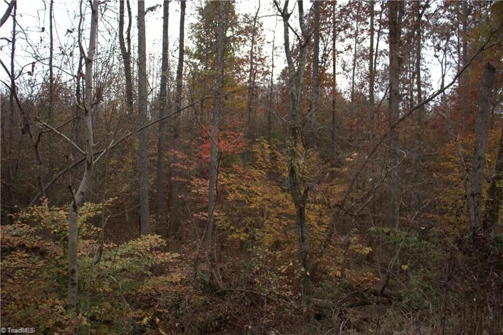 00 Griffin Road Stokesdale, NC 27357