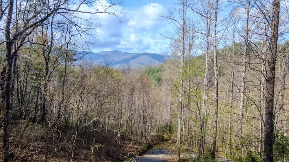 Smoky Cove Rd Whittier, NC 28789