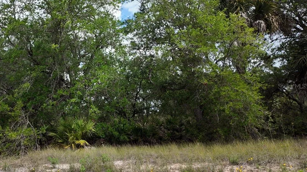 3104 51ST STREET W Lehigh Acres, FL 33971