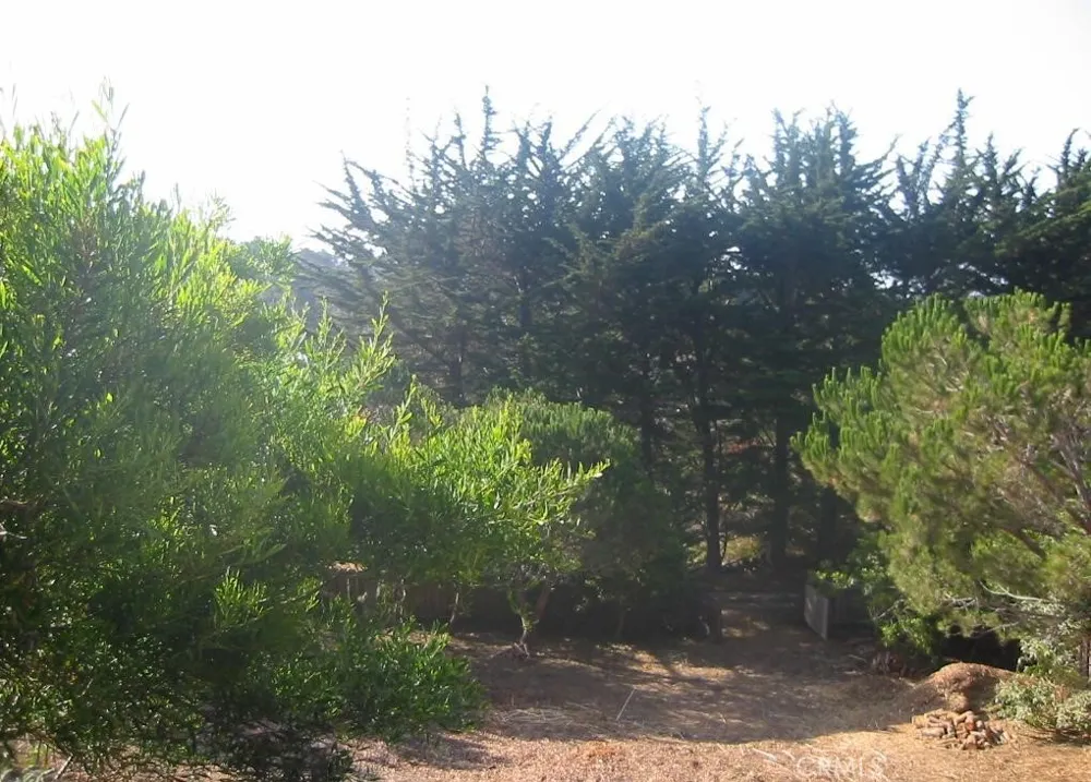 195 Spindrift Road Carmel Highlands, CA 93923