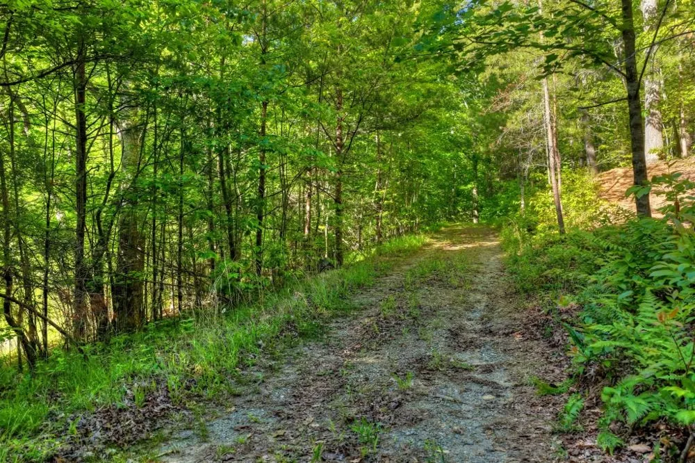 8.52 AC McNelley Road Morganton, GA 30560