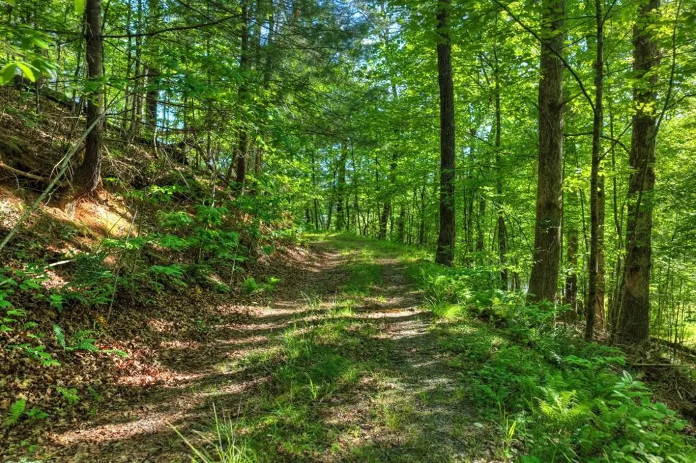 8.52 AC McNelley Road Morganton, GA 30560