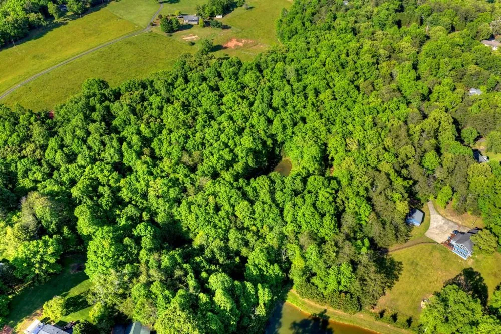 8.52 AC McNelley Road Morganton, GA 30560