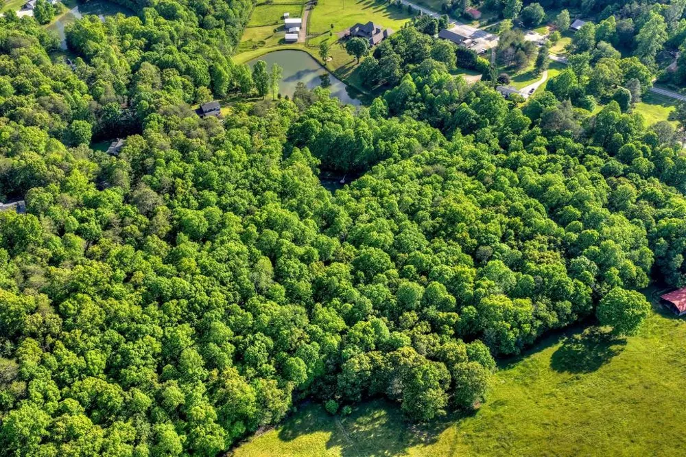 8.52 AC McNelley Road Morganton, GA 30560