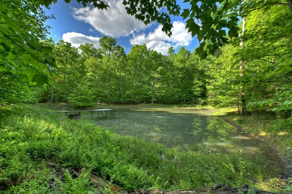 8.52 AC McNelley Road Morganton, GA 30560