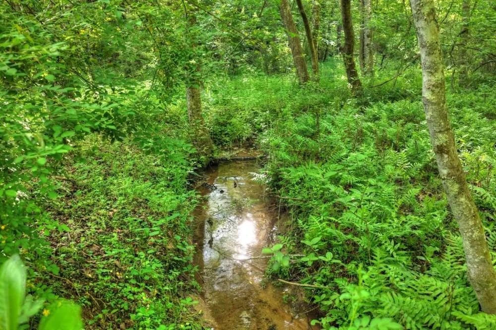 8.52 AC McNelley Road Morganton, GA 30560