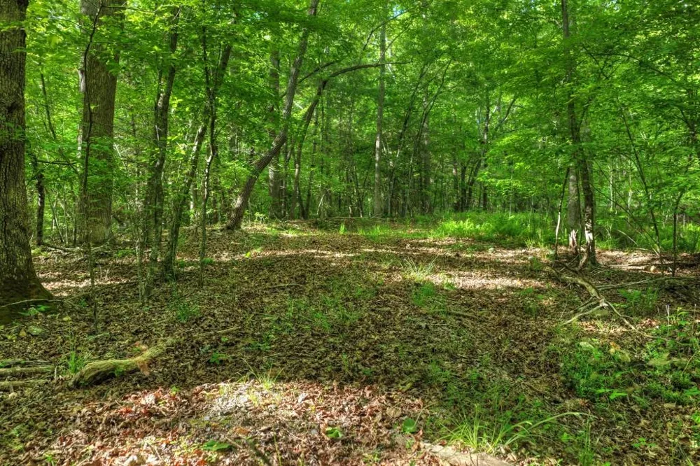 8.52 AC McNelley Road Morganton, GA 30560
