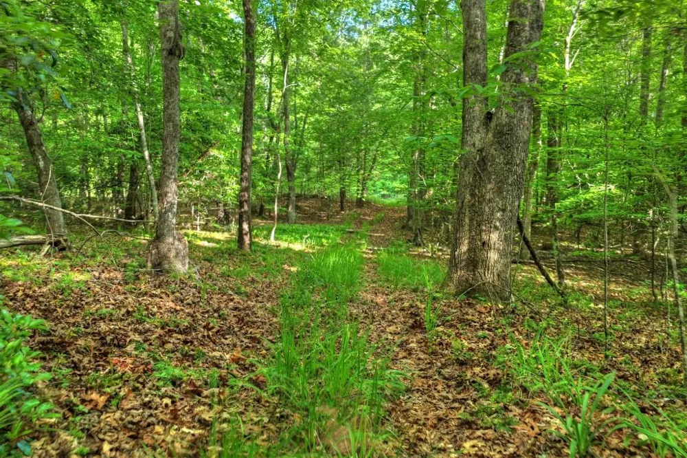 8.52 AC McNelley Road Morganton, GA 30560