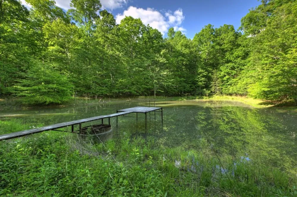 8.52 AC McNelley Road Morganton, GA 30560