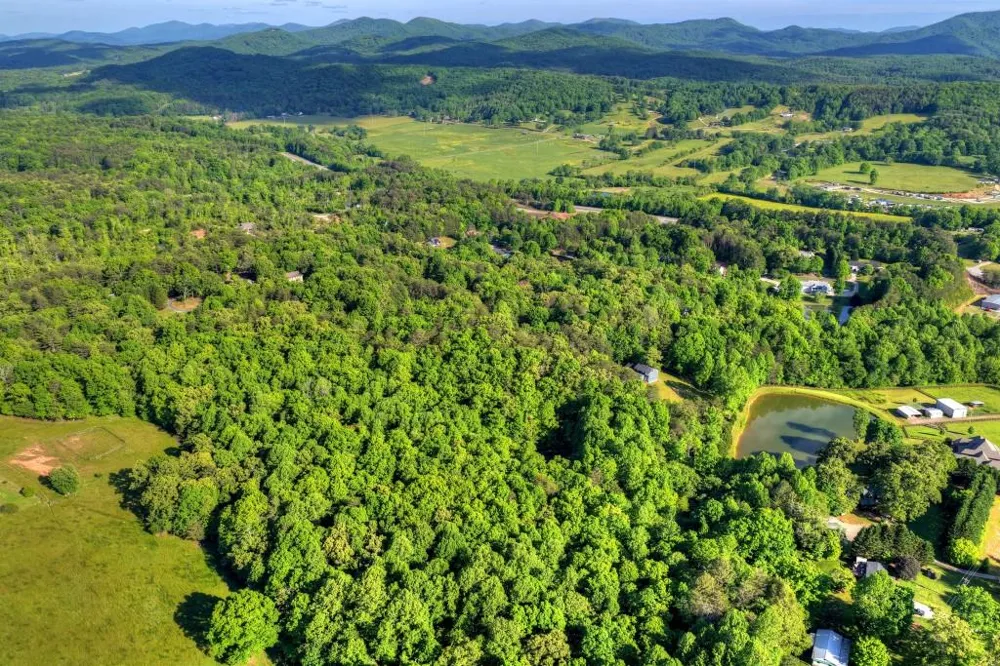 8.52 AC McNelley Road Morganton, GA 30560