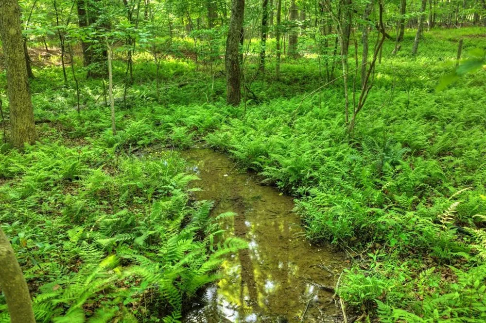8.52 AC McNelley Road Morganton, GA 30560