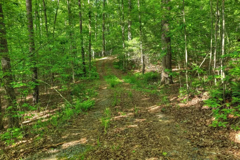 8.52 AC McNelley Road Morganton, GA 30560