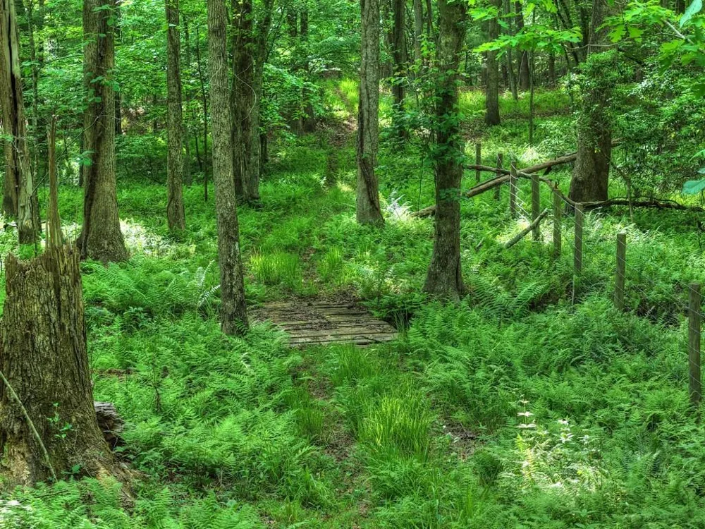 8.52 AC McNelley Road Morganton, GA 30560