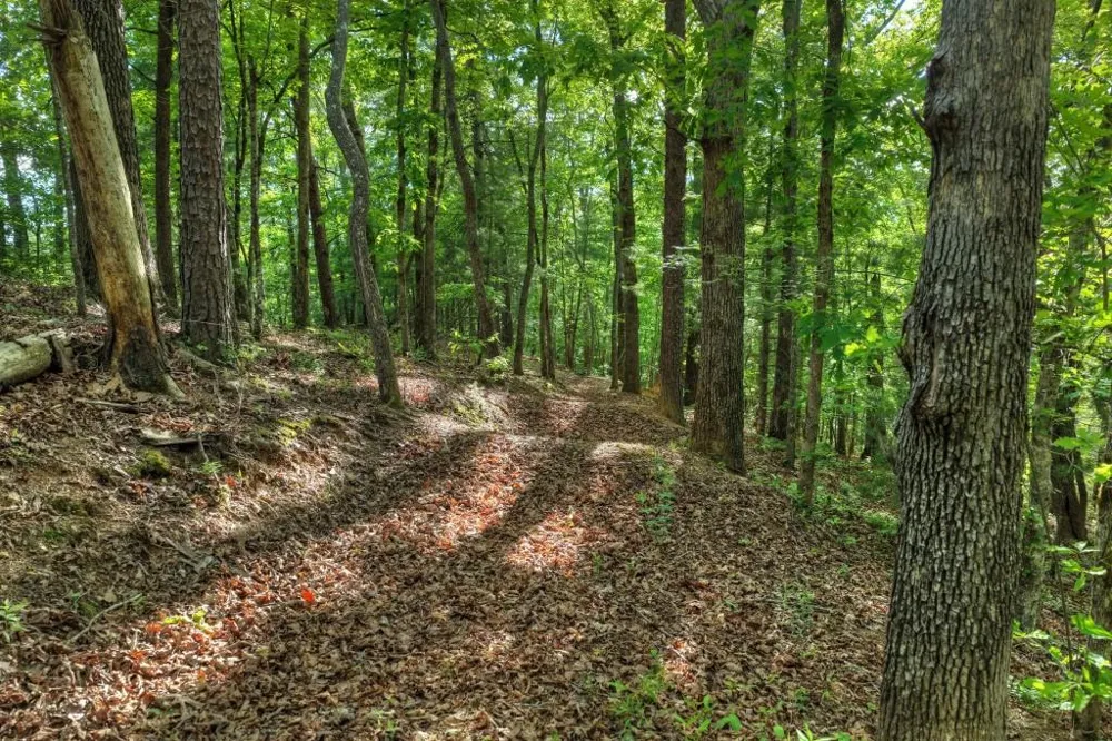 8.52 AC McNelley Road Morganton, GA 30560