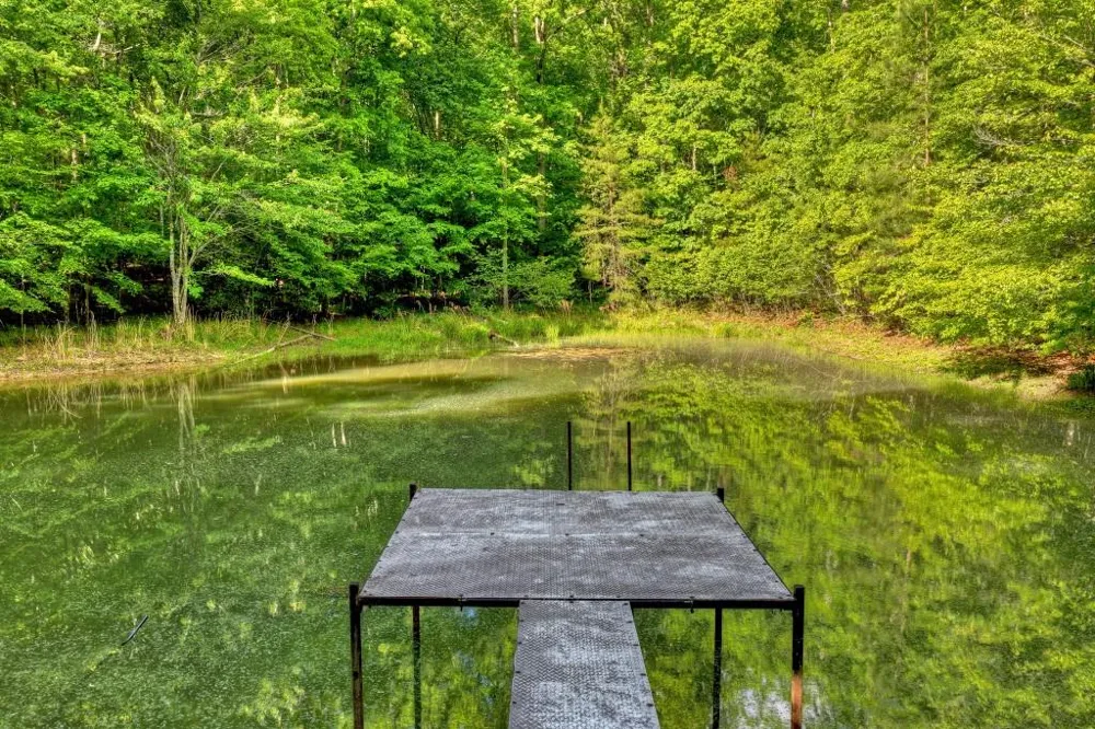 8.52 AC McNelley Road Morganton, GA 30560