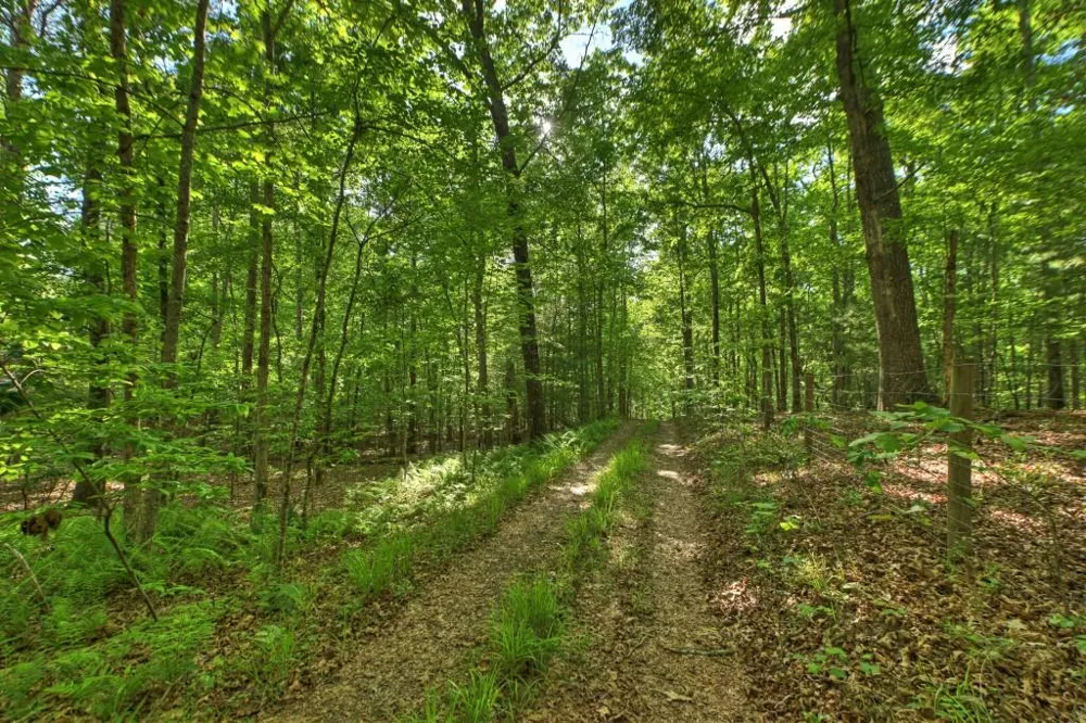 8.52 AC McNelley Road Morganton, GA 30560