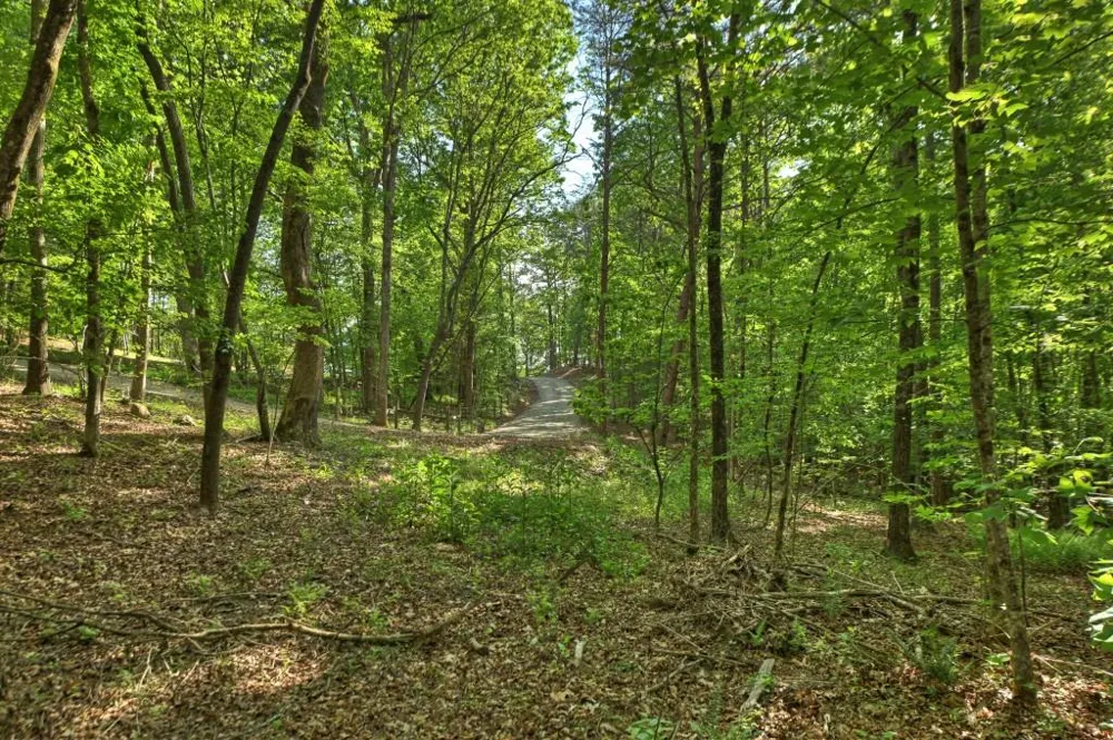 8.52 AC McNelley Road Morganton, GA 30560
