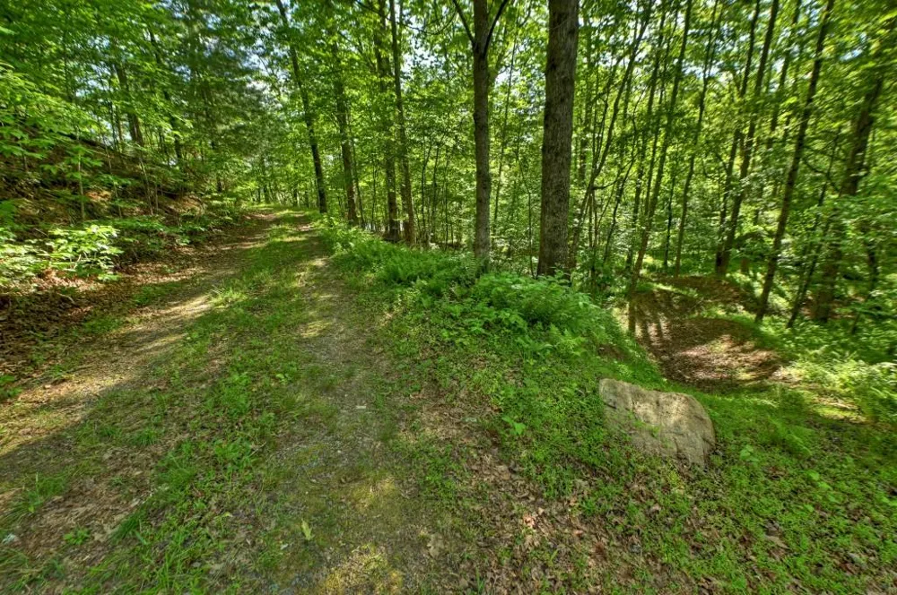 8.52 AC McNelley Road Morganton, GA 30560
