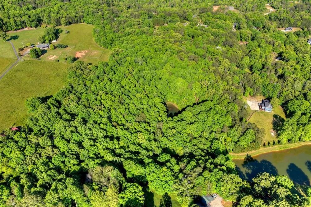 8.52 AC McNelley Road Morganton, GA 30560