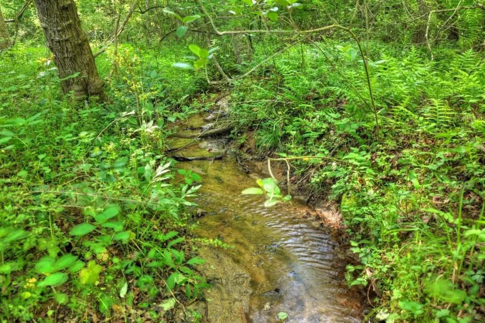 8.52 AC McNelley Road Morganton, GA 30560