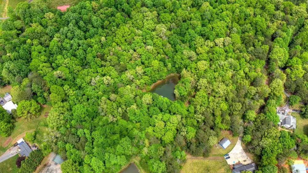 8.52 AC McNelley Road Morganton, GA 30560