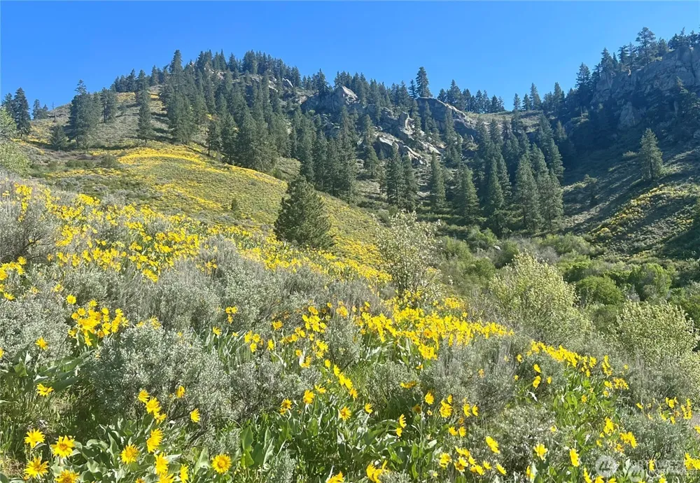 9505 Plateau Road Cashmere, WA 98815