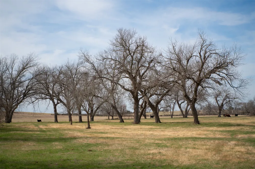 Address Not Shown Holland, TX 76534