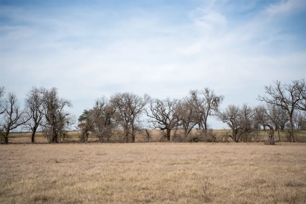 Address Not Shown Holland, TX 76534