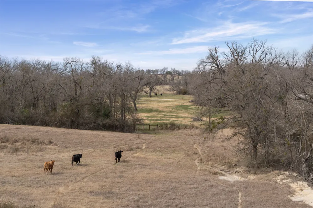Address Not Shown Holland, TX 76534