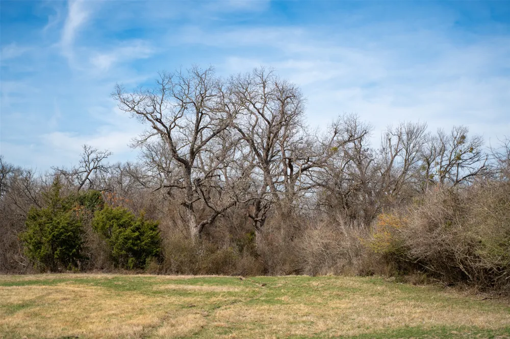 Address Not Shown Holland, TX 76534