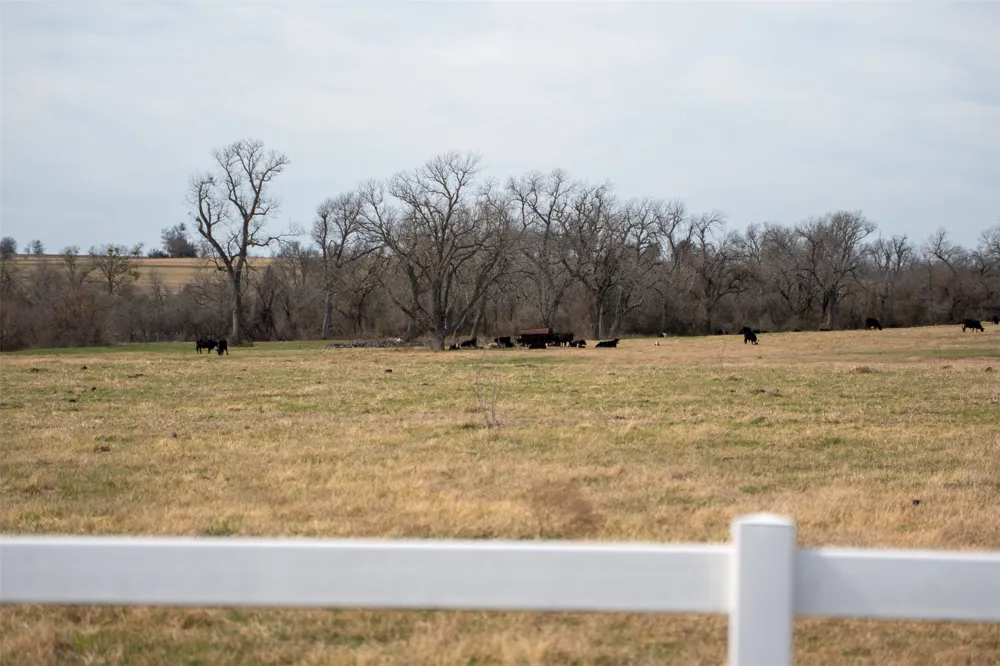 Address Not Shown Holland, TX 76534