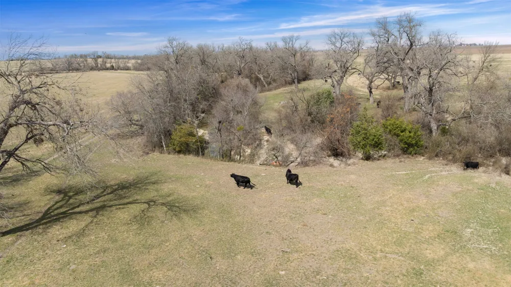 Address Not Shown Holland, TX 76534