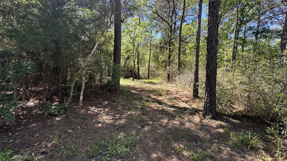 9884 Rocky Ridge Lane Madisonville, TX 77864