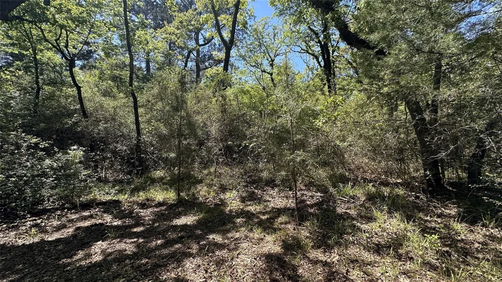 9884 Rocky Ridge Lane Madisonville, TX 77864