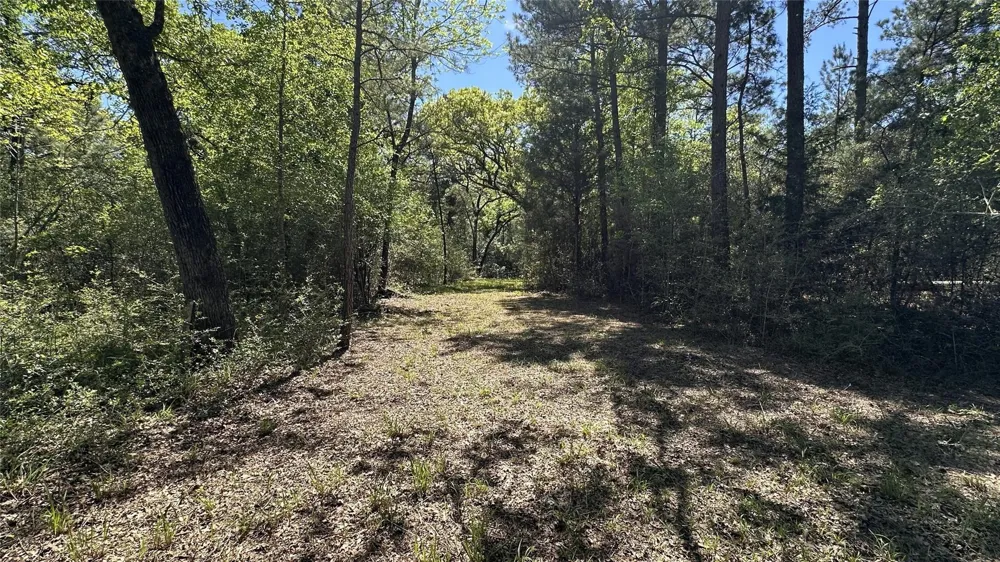 9884 Rocky Ridge Lane Madisonville, TX 77864
