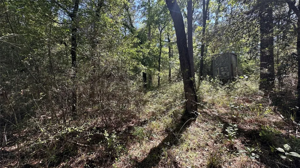 9884 Rocky Ridge Lane Madisonville, TX 77864