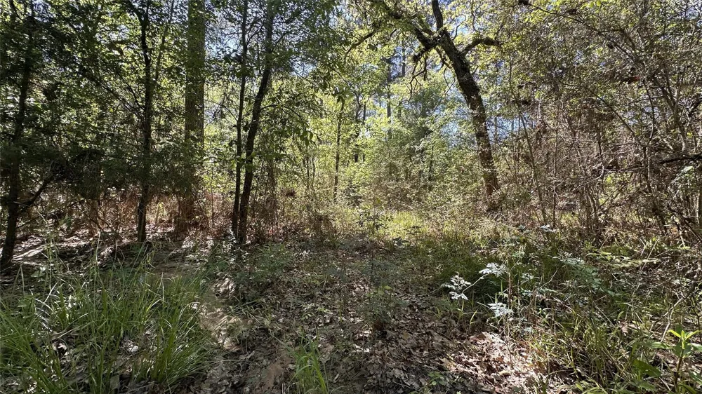 9884 Rocky Ridge Lane Madisonville, TX 77864