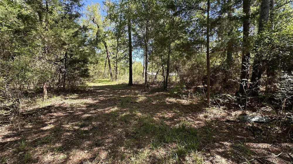 9884 Rocky Ridge Lane Madisonville, TX 77864