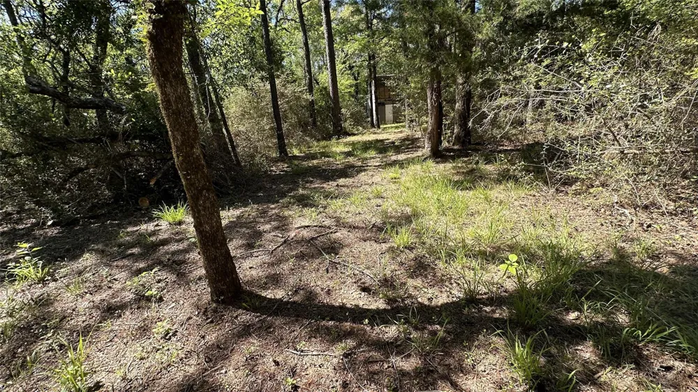9884 Rocky Ridge Lane Madisonville, TX 77864