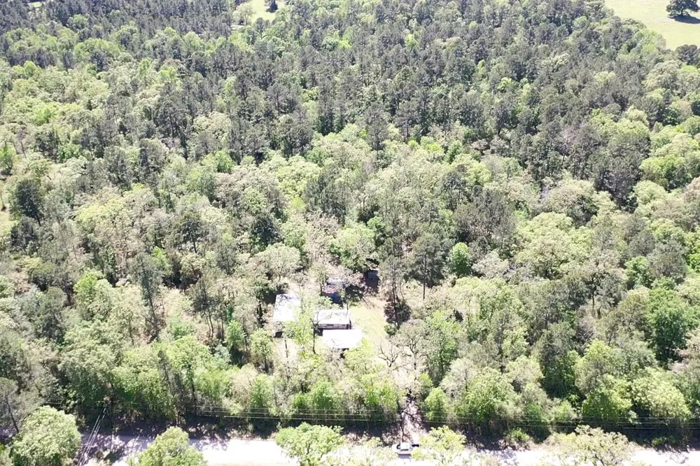 9884 Rocky Ridge Lane Madisonville, TX 77864