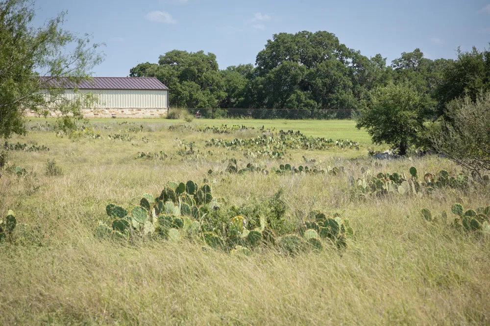 734 Salt Grass Trail Trail Bandera, TX 78003