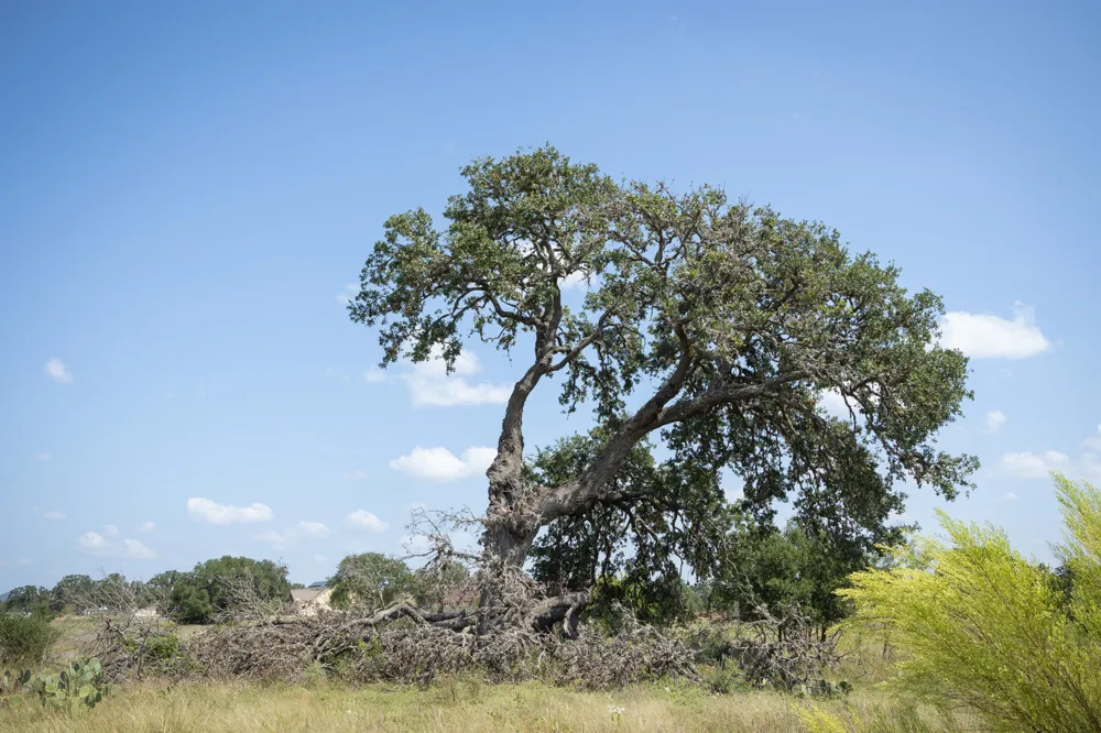 734 Salt Grass Trail Trail Bandera, TX 78003